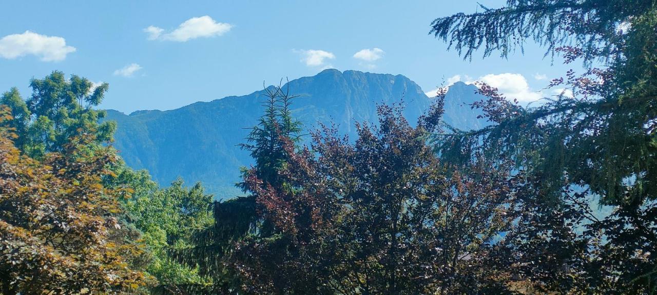 Bunia W Zakopanem Z Jacuzzi Διαμέρισμα Εξωτερικό φωτογραφία